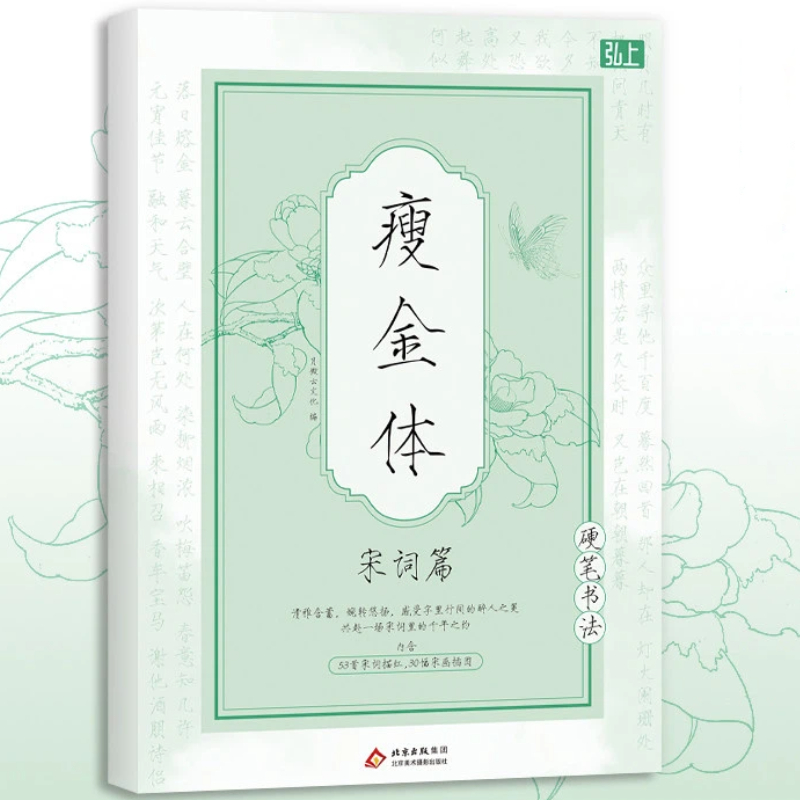 Livro de Caligrafia Chinesa So - Chinese Calligraphy Practice Book avaliação e preço